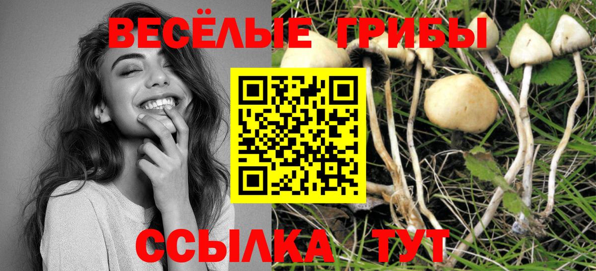 Губкин  Псилоцибиновые грибы ЛСД  Вход с VPN 