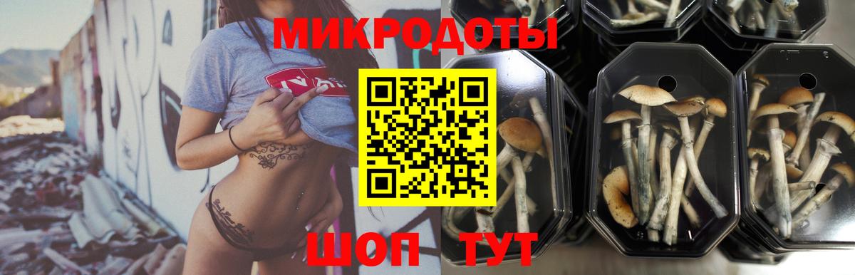 Псилоцибиновые грибы MAGIC MUSHROOMS Губкин